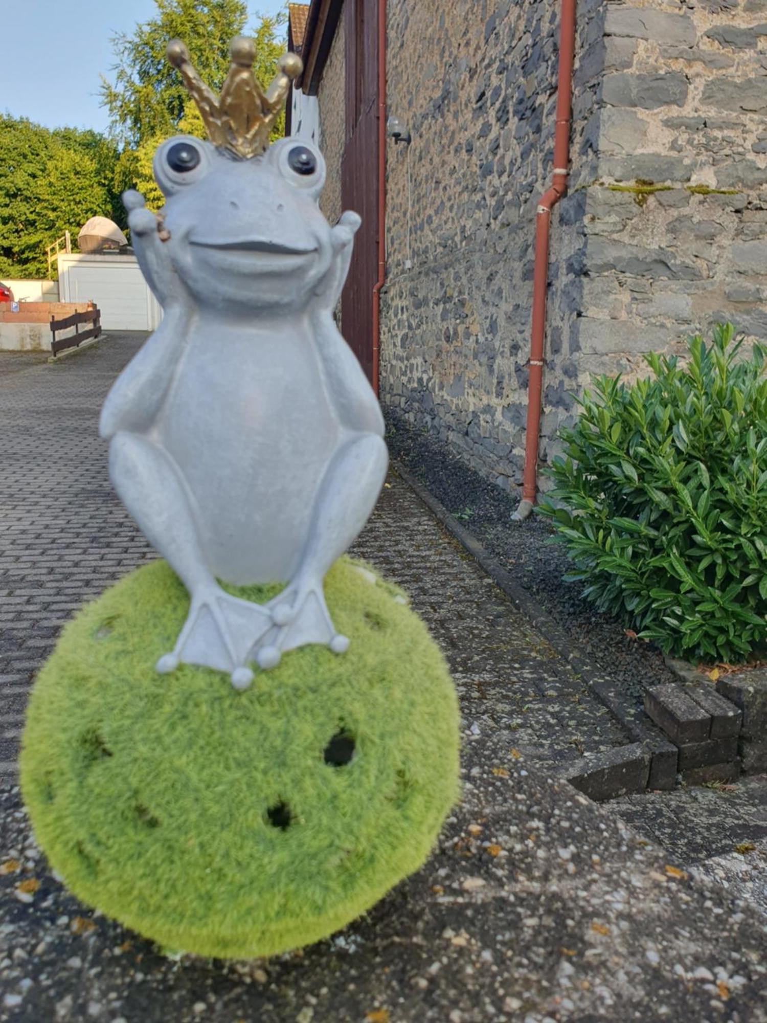 Casa Vogelsberg Apartment ชอทเทน ภายนอก รูปภาพ